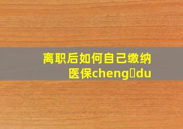 离职后如何自己缴纳医保cheng du